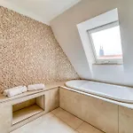Luxury Penthouse In The Center Norimberk